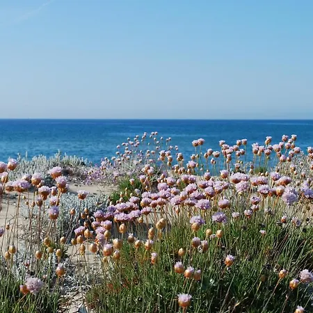 Tramonto Sea-front * Valledoria (Sardinia)