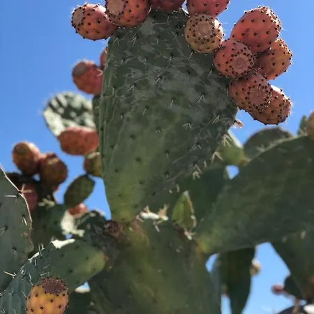 Tramonto Sea-front *